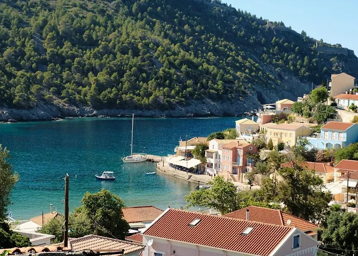 Remvi Assos *