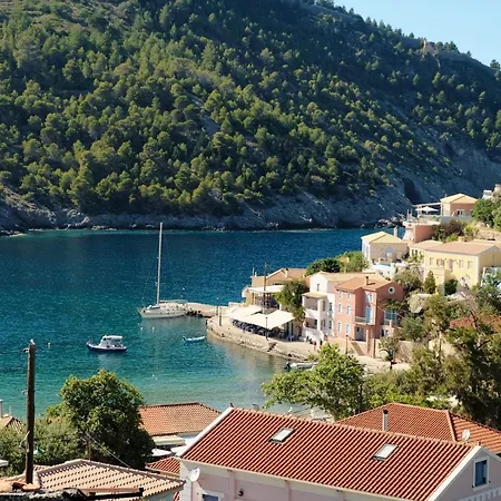Remvi Assos *